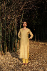 Mustard Chikankari Jute Chanderi Suit Set (With Pants )